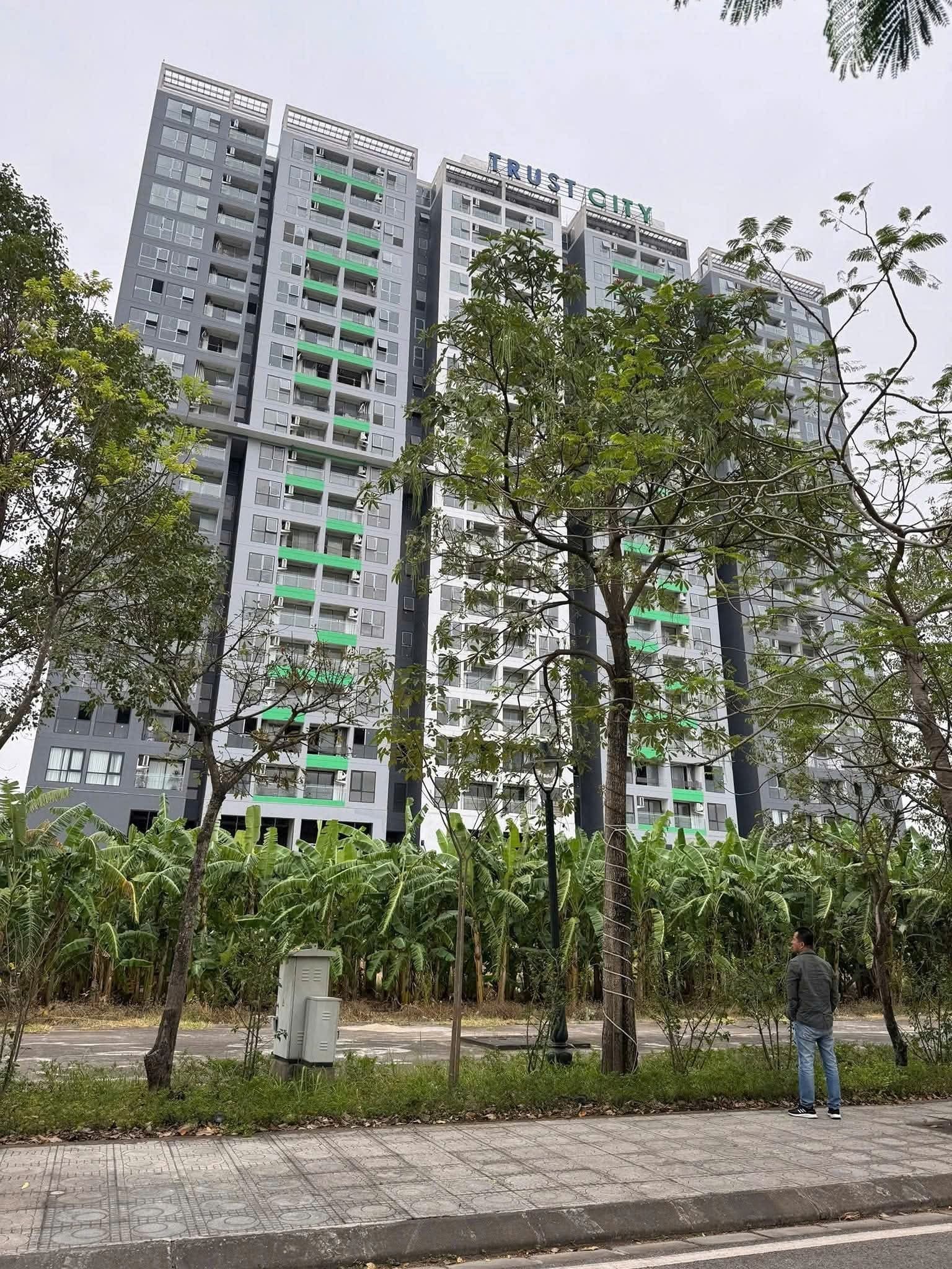 Dự án Trust City